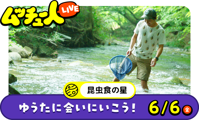 ムッチュー人LIVE｜昆虫食の星のゆうたに会いにいこう！